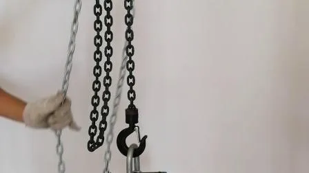 Китайский производитель ручного подъемного цепного тали с полиспастом