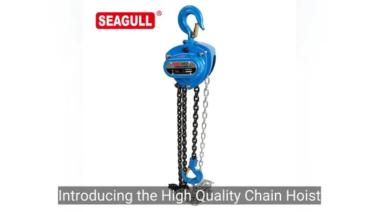 Лучшая цена на ручную цепную таль Seagull 5т с ручным цепным шкивом